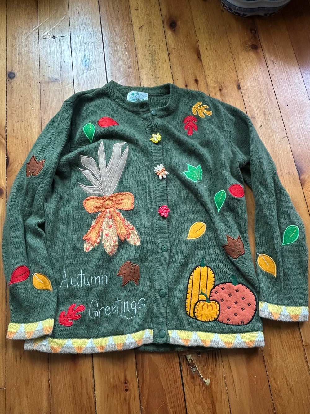 Quacker Factory Green Fall Leaves Pumpkin Cornstalk Embroidery Sweater small